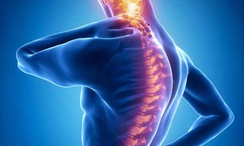 back-joint-pain1